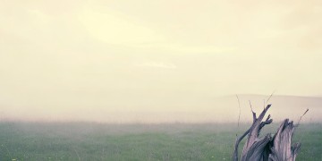 脸上多了一抹沧桑究竟是哪首歌？