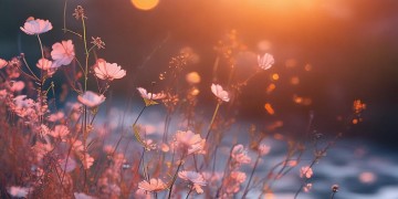 哪首歌的高潮部分有切切呢？