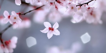 爱我就放手吧究竟是哪首歌的歌词?