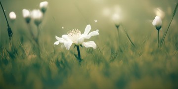 心花一朵这首DJ到底是什么歌？