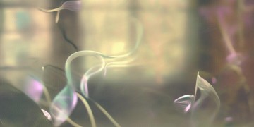 和你不再联系究竟是哪首歌?