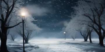 寂静的夜晚好冷究竟是什么歌？
