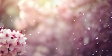 爱就不爱了这句歌词出自哪首歌？