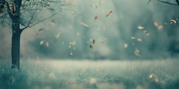 哪些歌曲能表达伤感之情？