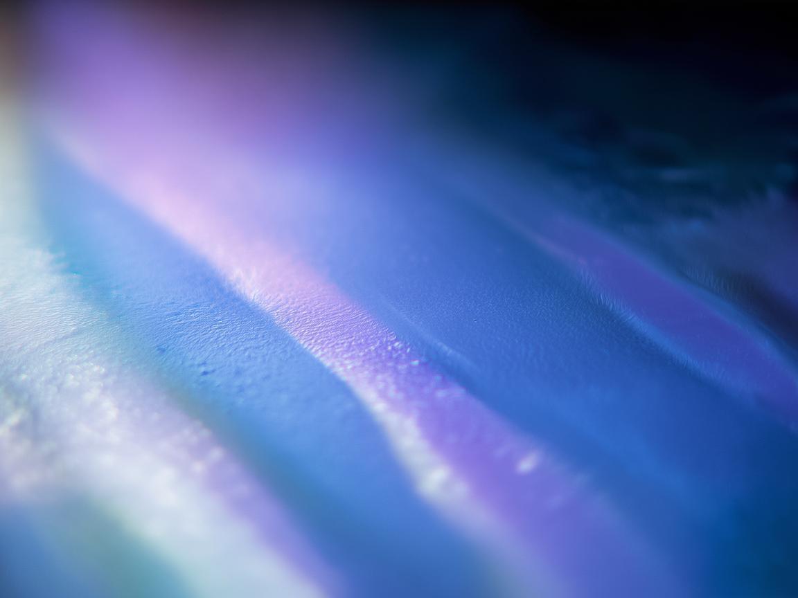 我会永远错过你出自哪首歌？