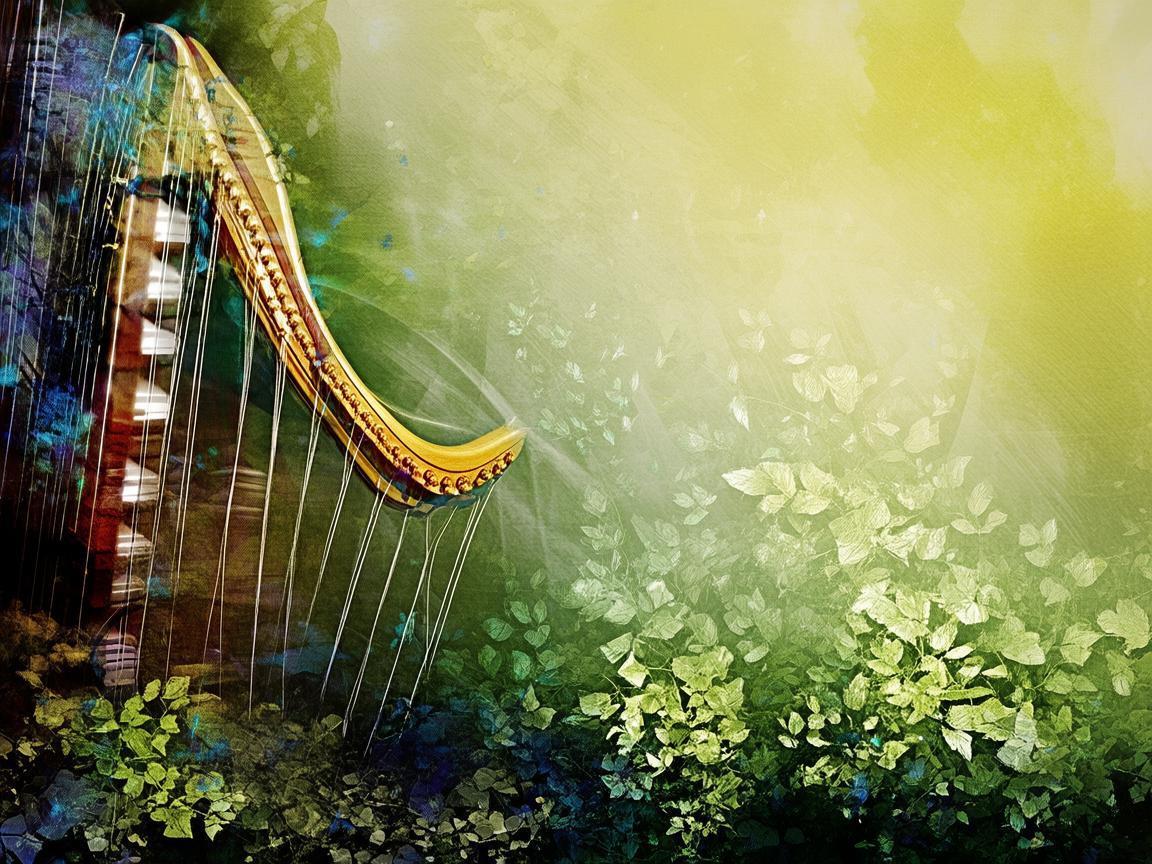 什么成分究竟是首什么歌？